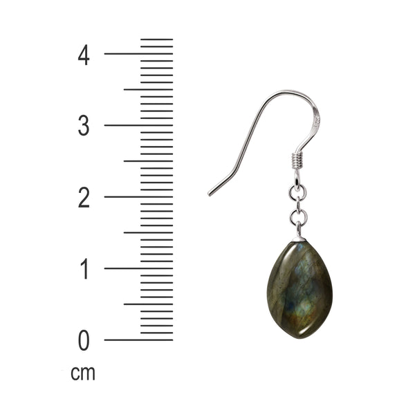 Labradorite and Sterling Silver Leaf Shape Drop Earrings
